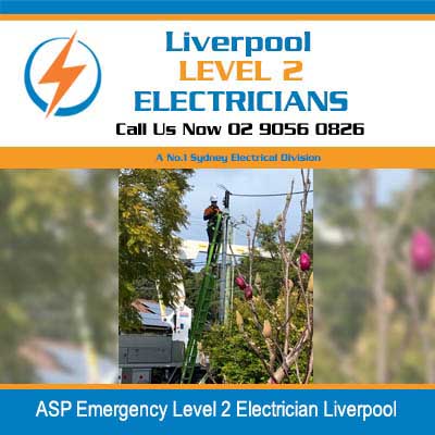 ASP emergency level 2 electrician on power pole performing emergency overhead line repairs in  Liverpool